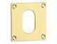 4576 Sqaure Escutcheon Oval Profile - 4 finishes - Click to Zoom